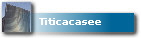 Titicacasee